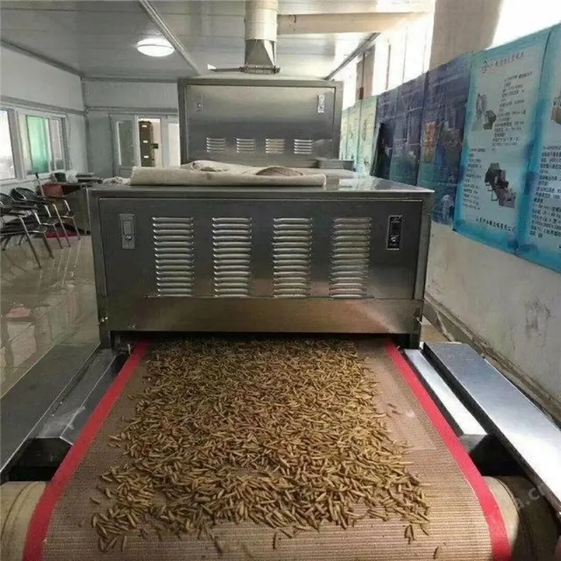 Food Grade PTFE Mesh Conveyor Belt for Agricultural Product Drying & Sterilization